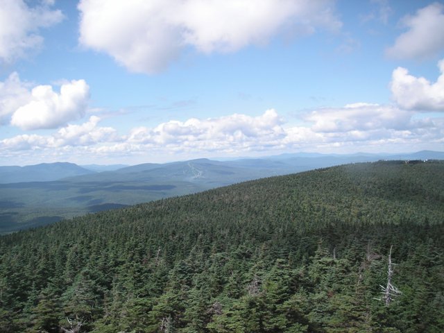 from the Stratton Mtn firetower